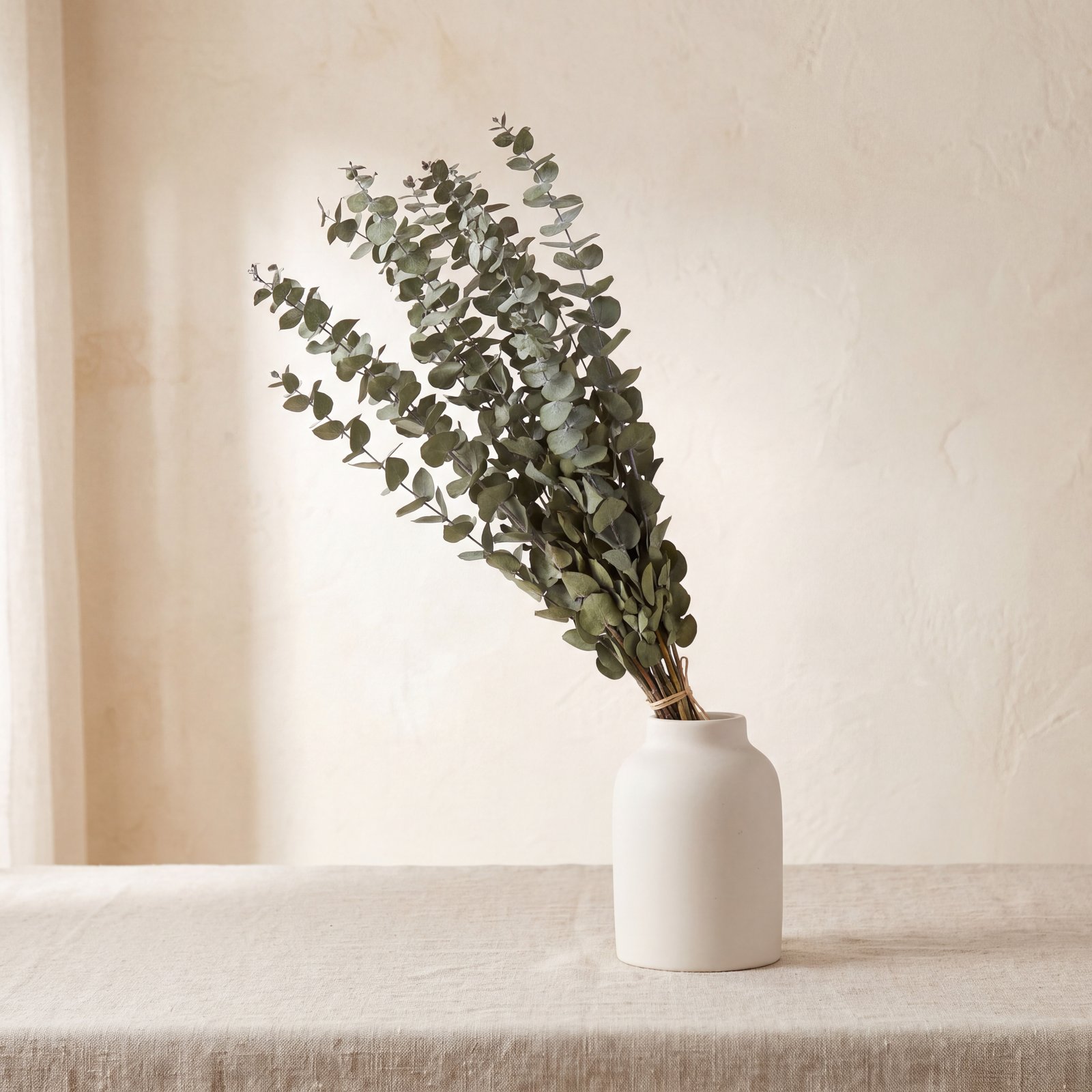 Dried Eucalyptus Bundle