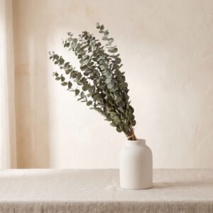 Dried Eucalyptus Bundle
